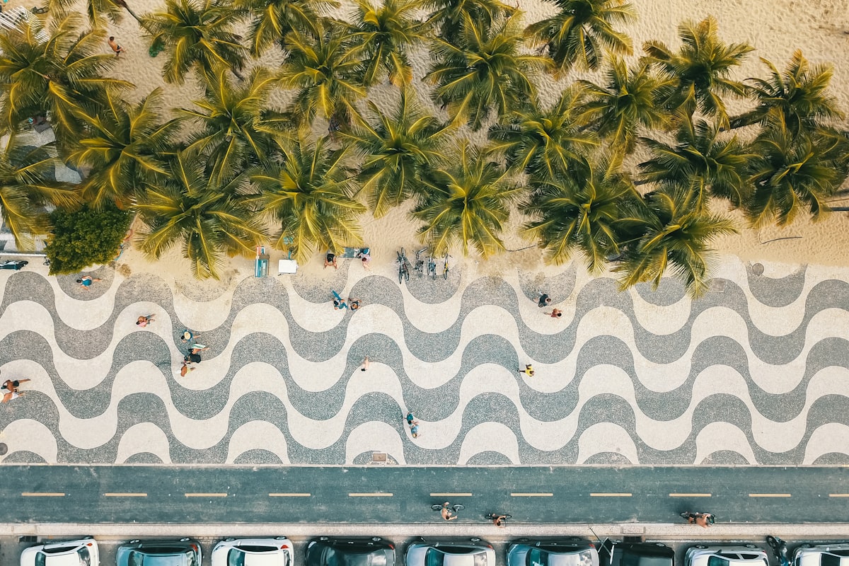 Palmeiras na praia do Rio de Janeiro